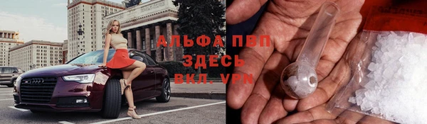 спиды Зеленокумск