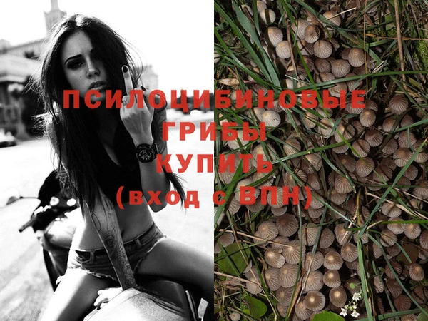 спиды Зеленокумск