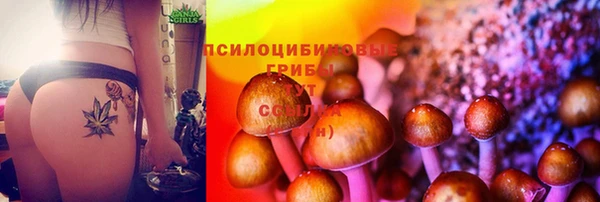 ПСИЛОЦИБИНОВЫЕ ГРИБЫ Зеленодольск