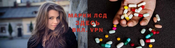 ПСИЛОЦИБИНОВЫЕ ГРИБЫ Зеленодольск