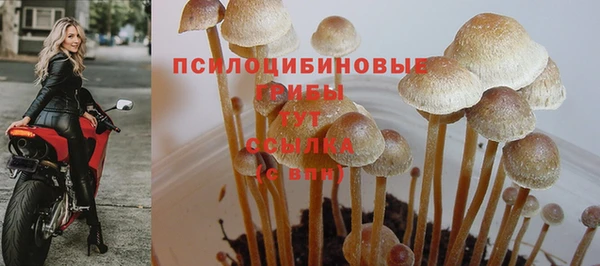 jwh Зерноград