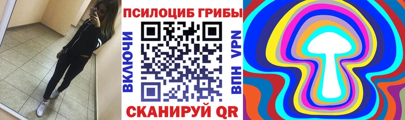 ОМГ ОМГ зеркало  Новый Оскол  Псилоцибиновые грибы ЛСД 